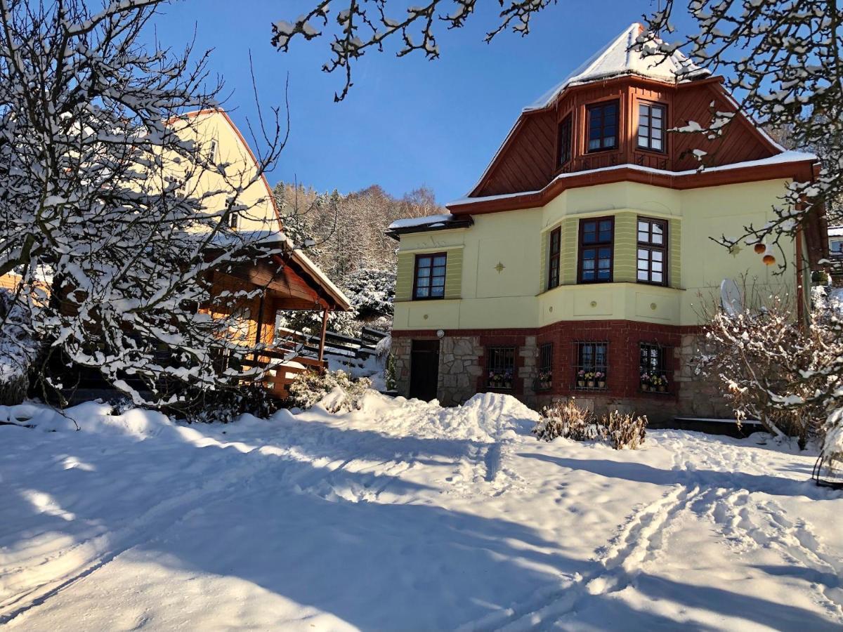 Chalupa Sunny Cottage Svoboda nad Úpou Zewnętrze zdjęcie
